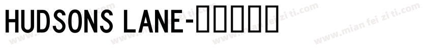 Hudsons lane字体转换